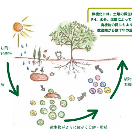 「農空間づくりの方向性」 ―環境と人に負荷をかけず、最小限の工夫で改善！―